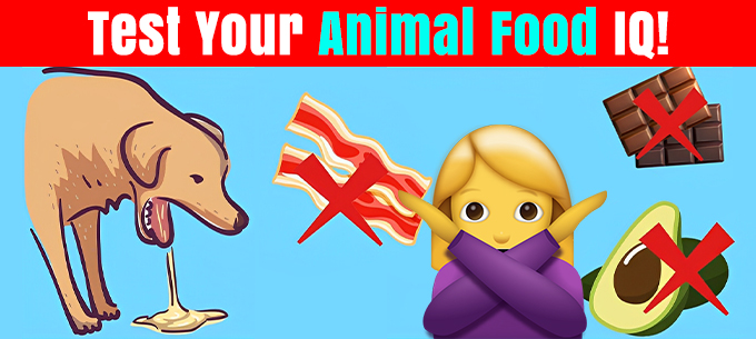 What Foods Can Animals Never Eat? 🐾 Test Your Pet Safety IQ!