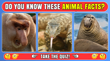 Ultimate Animal Records Quiz: Discover the Most Amazing Animal Facts!