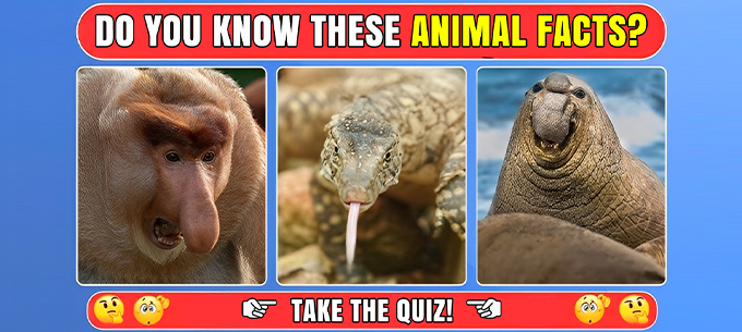 Ultimate Animal Records Quiz: Discover the Most Amazing Animal Facts!