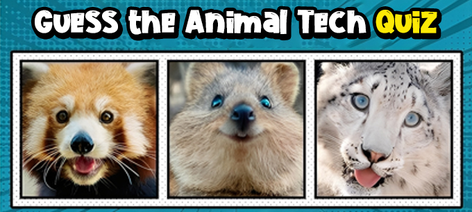 Can You Spot the Animal Behind the Tech?