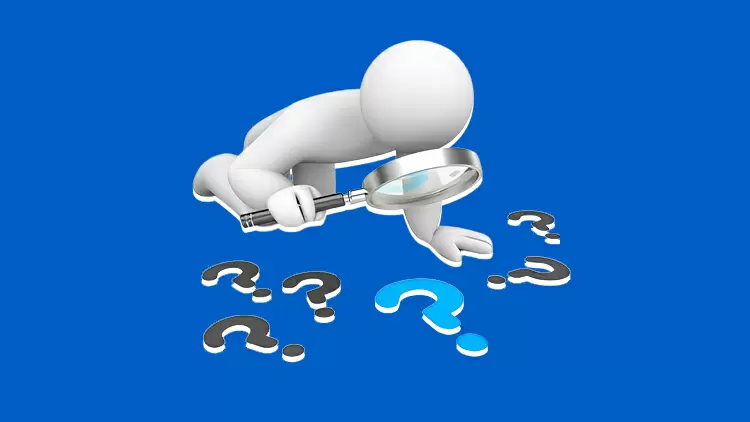 The Perceptive Detective 