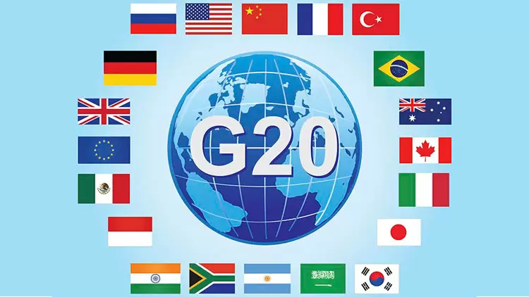 You have a basic understanding of the G20.