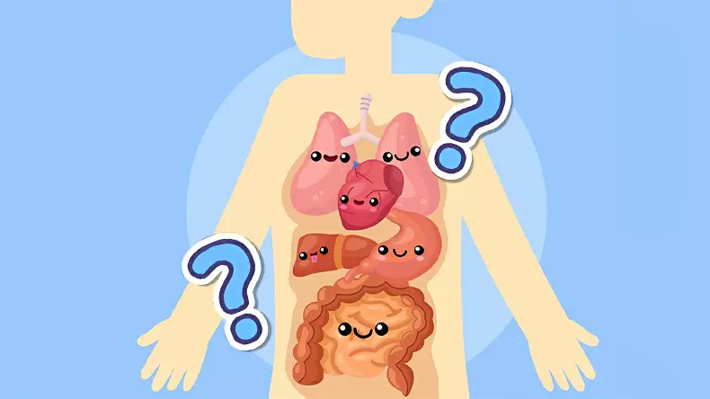 Only 5% ace this amazing human body quiz