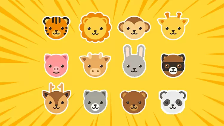 First Steps into the Animal World