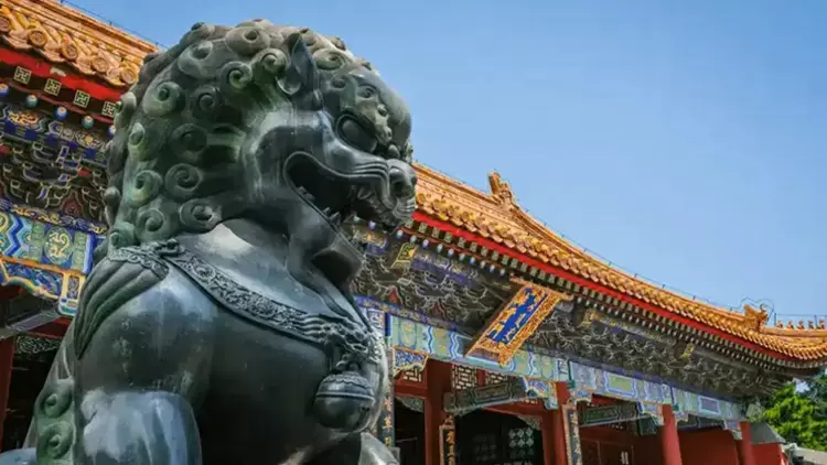 Excellent Performance