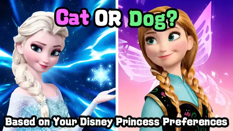 Are you more cat or dog? Quiz