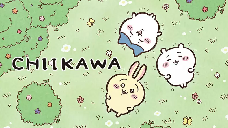 Quiz Banner