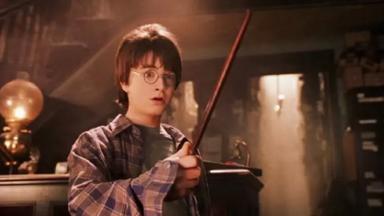 Harry Potter Wand Quiz: Which Wand Will Choose You?