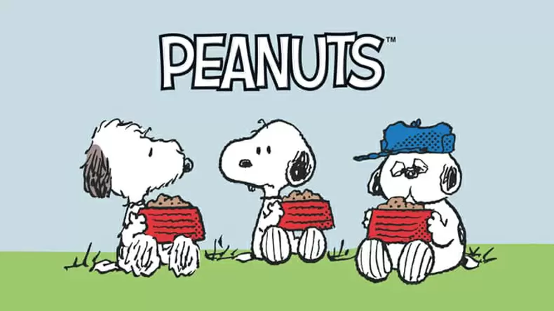 Peanuts Quiz: Which Snoopy Family Member Are You?