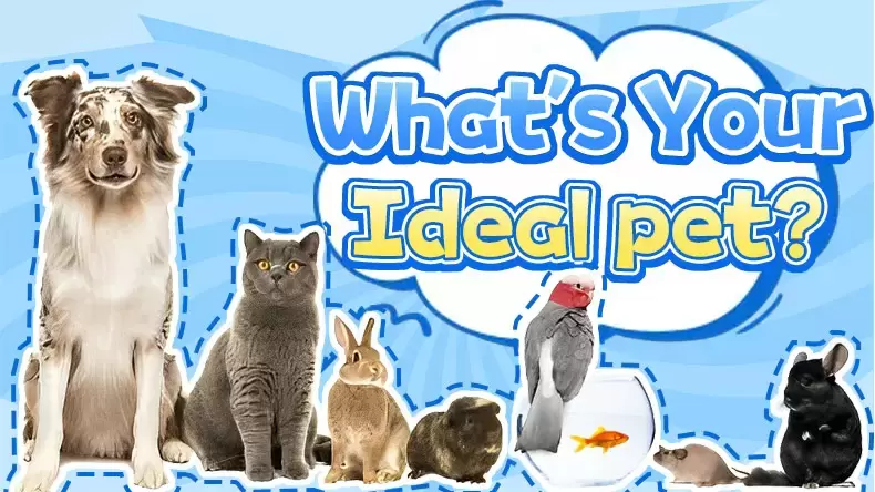 What's Your Perfect Pet? Quiz