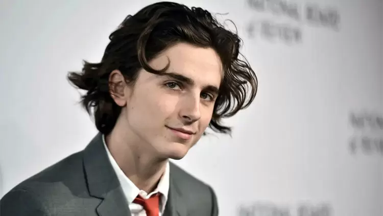 Your boyfriend is Timothée Chalamet!