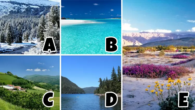  What's your ideal climate?