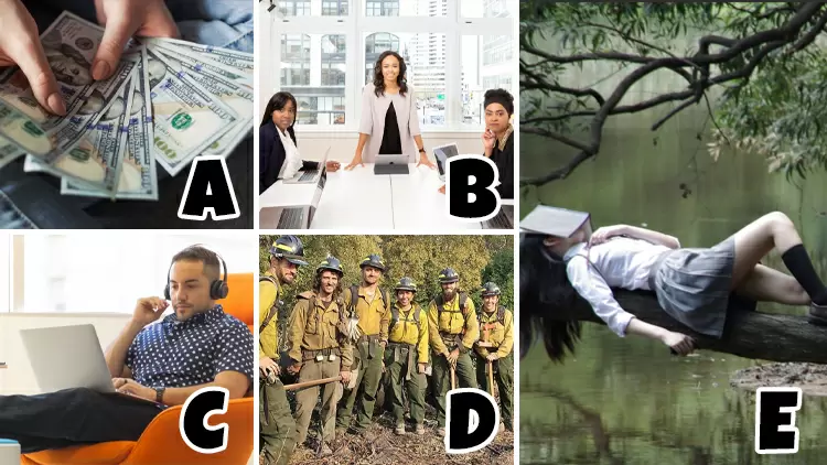  What's your ideal work environment?