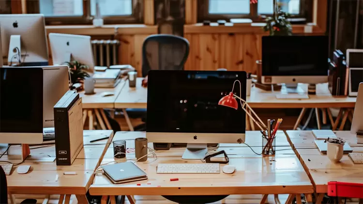 How do you manage your daily routine and workspace?