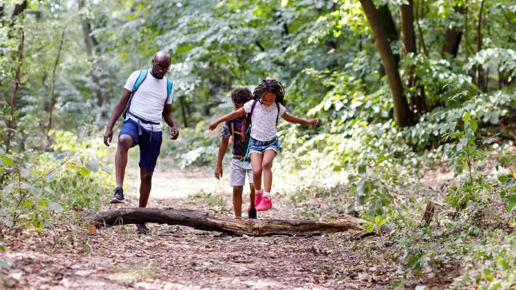 How frequently do you partake in physical activities or go outdoors?