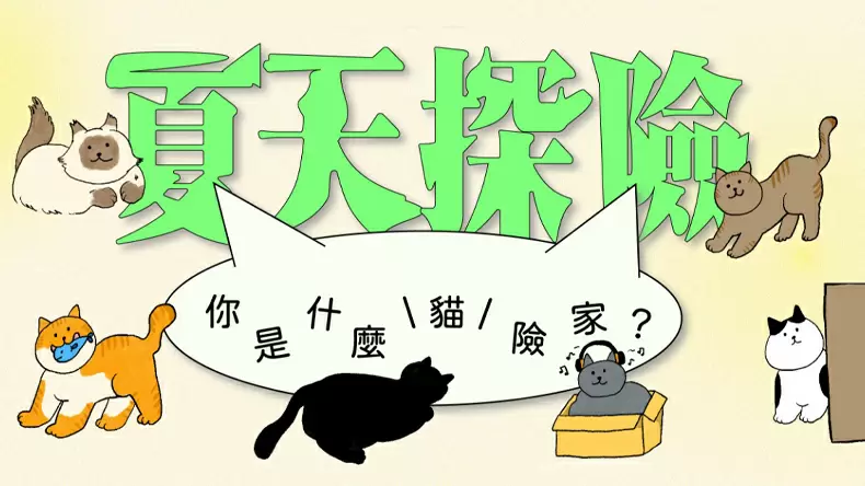 What Kind of Cat Adventurer Are You? Quiz