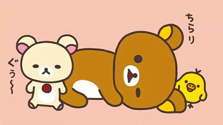 You find a lost animal in front of Rilakkuma's house. What do you do?