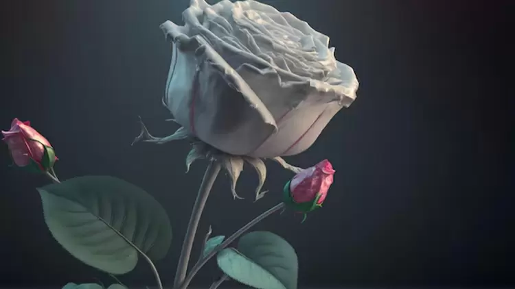 In the garden, you spot a unique flower you've never seen before, emitting a captivating fragrance. You would: