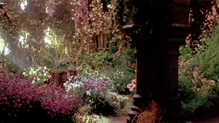 Cautious, Withdrawn, and Sensitive