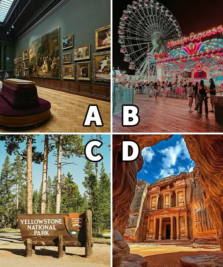 Where would your dream school trip be?