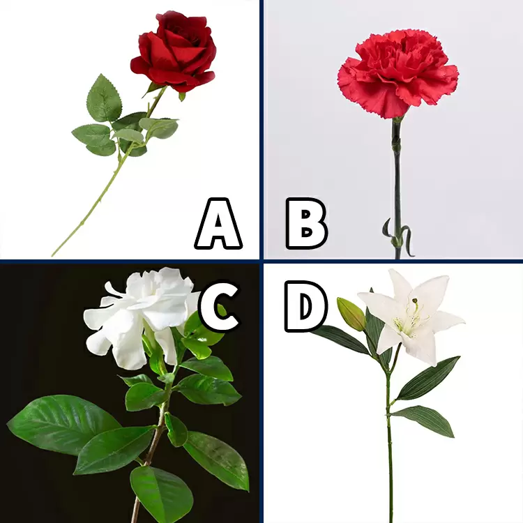 Choose the flower that symbolizes love for you.