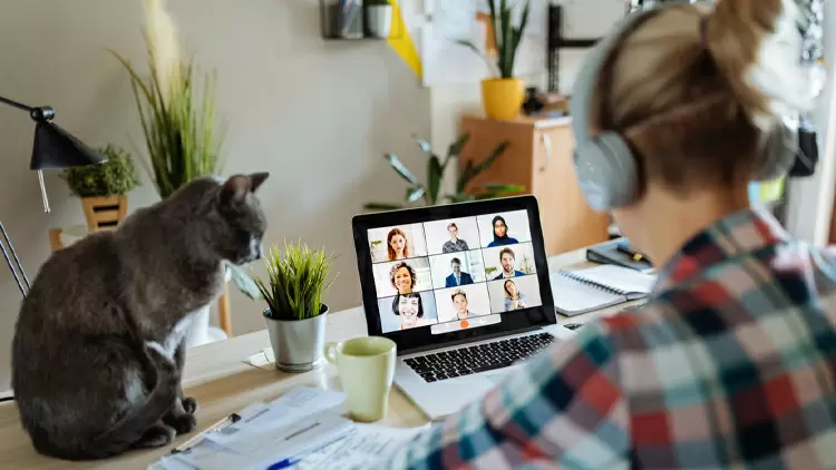 How often do you feel starved for company?