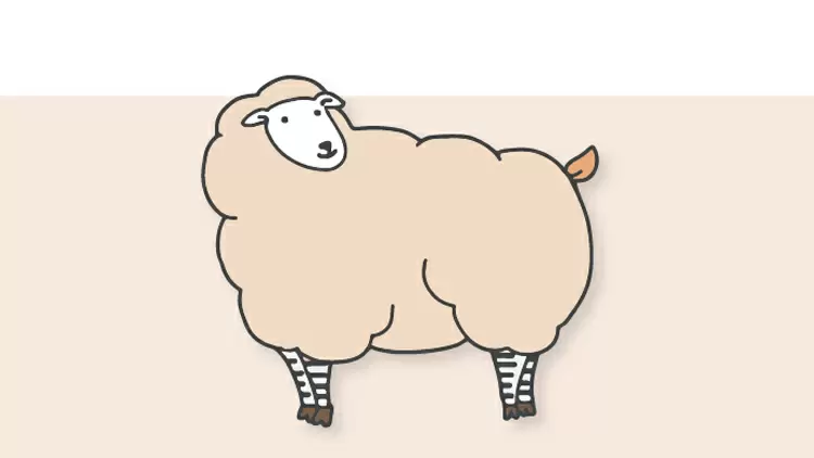 Sheep 