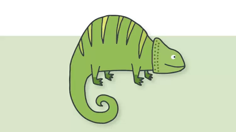 Chameleon 