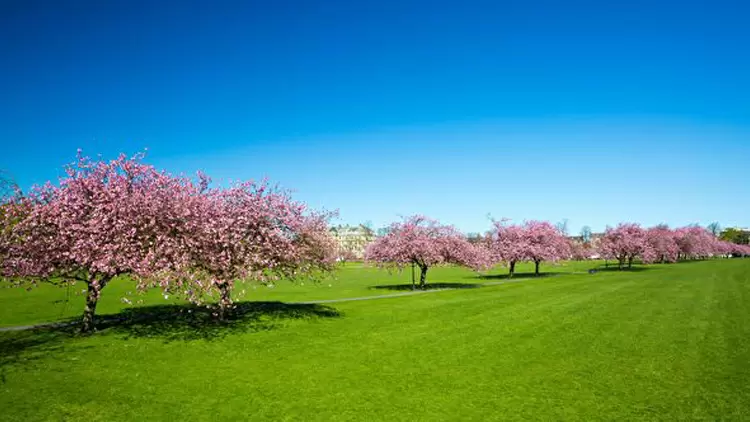 The Courageous and Respectable Leader