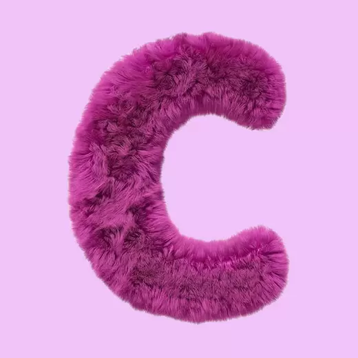 C - Your crush's name starts with C!