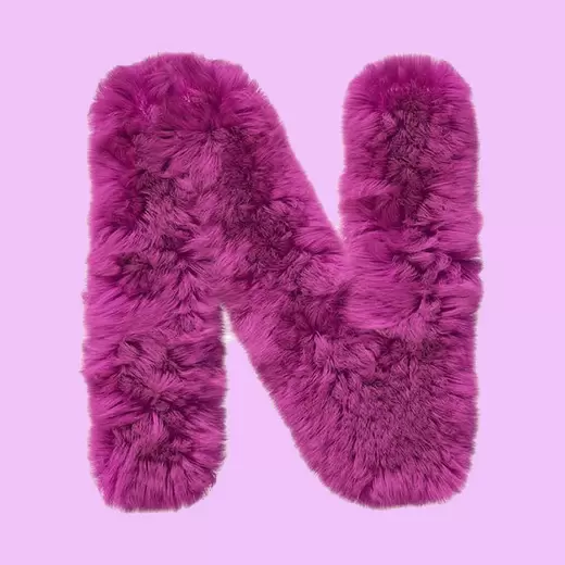 N - Your crush's name starts with N!