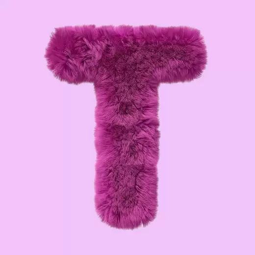 T - Your crush's name starts with T!