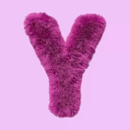 Y - Your crush's name starts with Y!