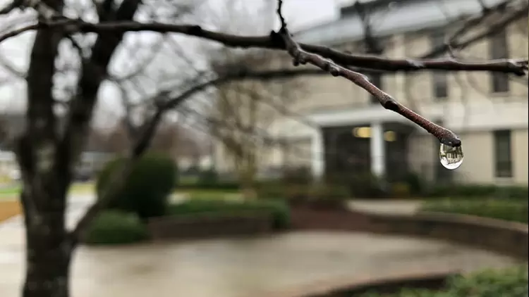 You get downstairs and notice it's lightly raining, but you forgot your umbrella. What will you do?