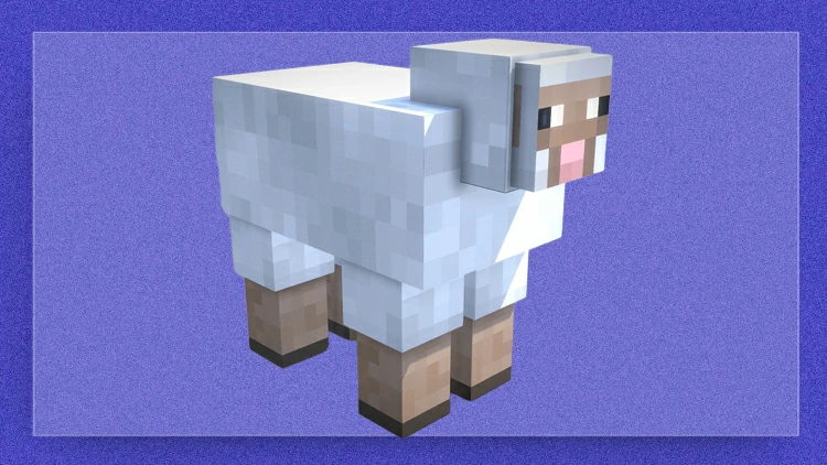 Sheep