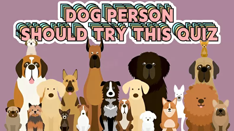 What type of dog are you? Quiz