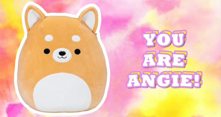 Angie the Shiba Inu