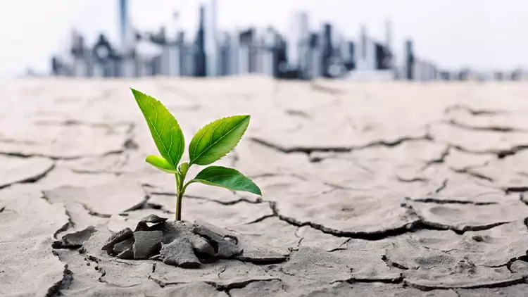 If you are working on a project that requires sacrificing the natural environment for financial gain, what would you do?