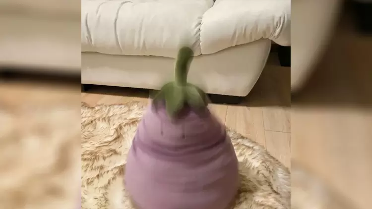 If you could choose a fairy tale vehicle, which one would you pick?  