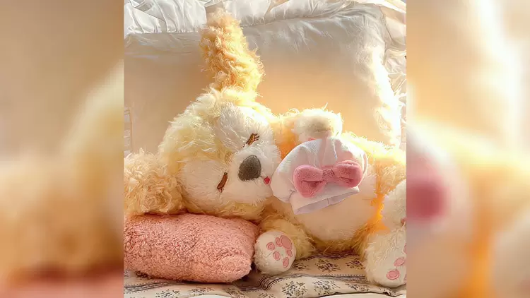 If you could exchange identities with a Disney staff for one day, who would you choose?