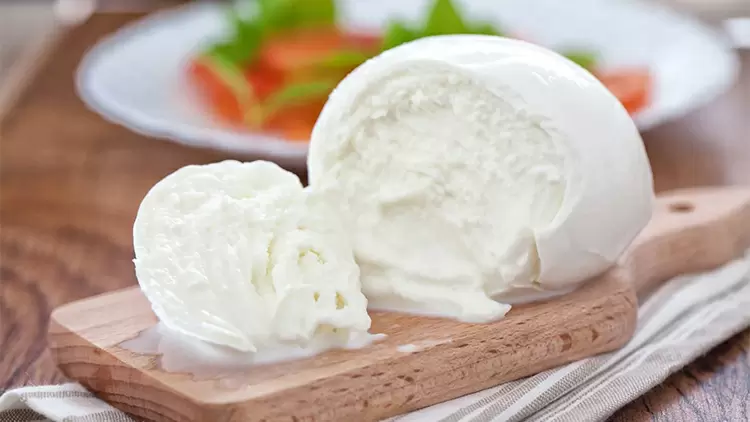 Mozzarella