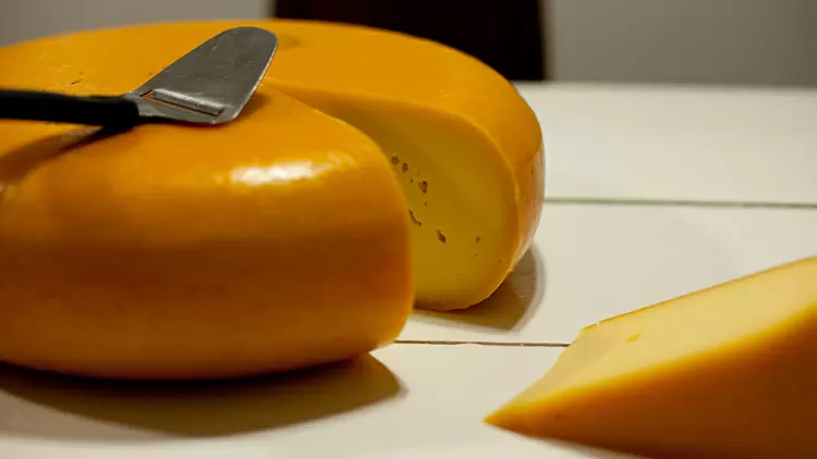 Gouda Dutch Gouda Cheese