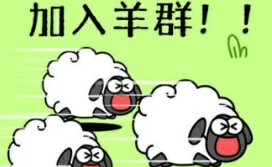 Sheep Sheep